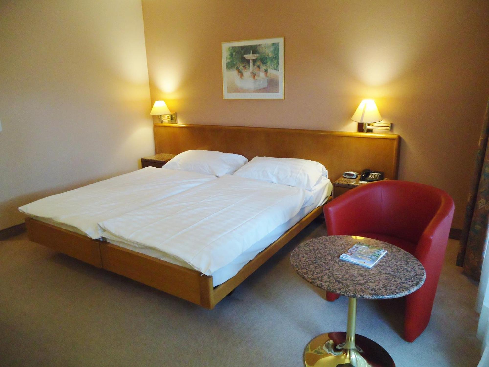 Hotel Le Cedre Bex Oda fotoğraf